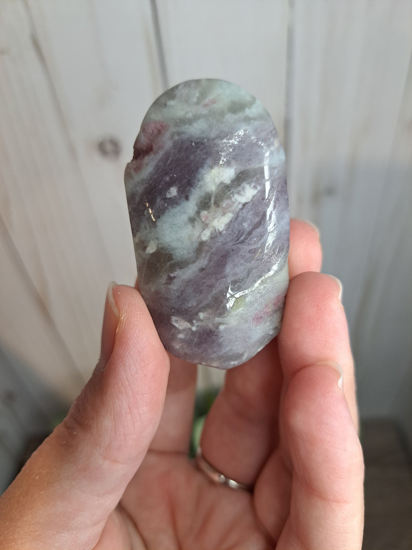 Unicorn Stone Palm Stone