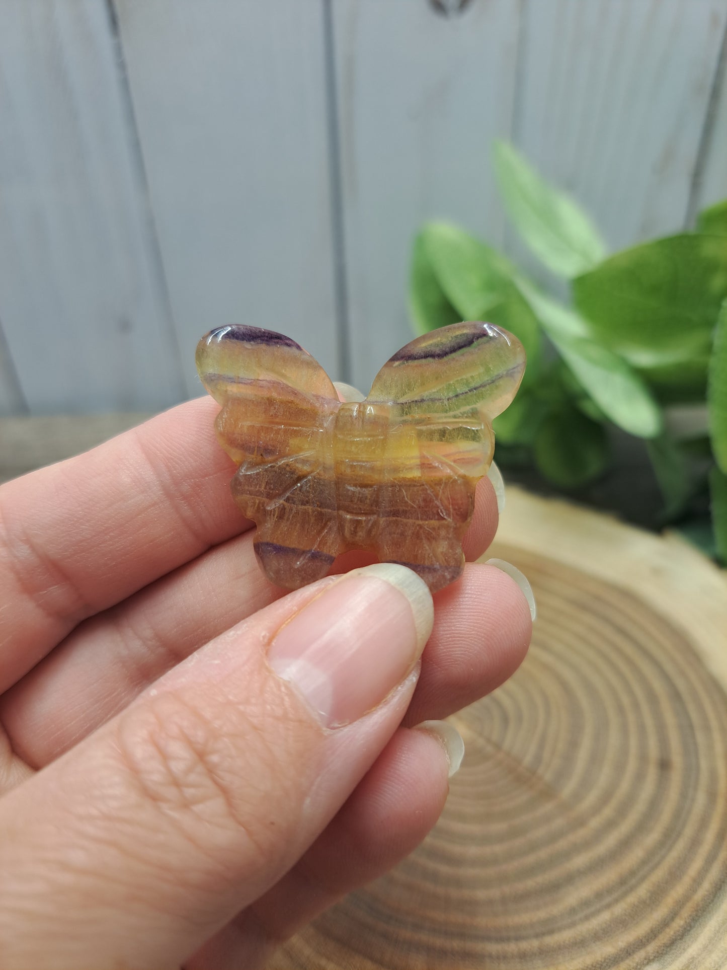 Butterfly Carvings