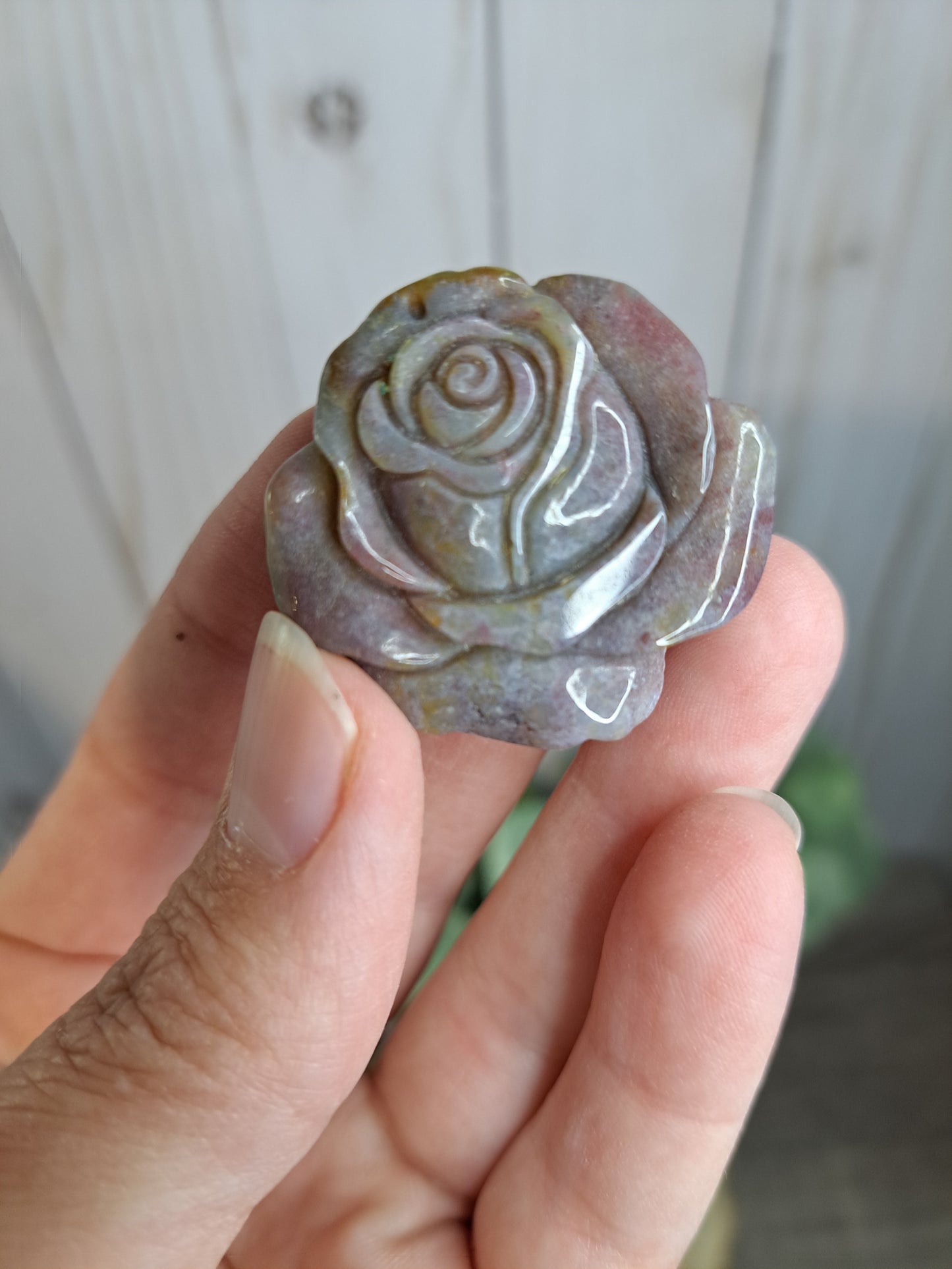 Ocean Jasper Roses