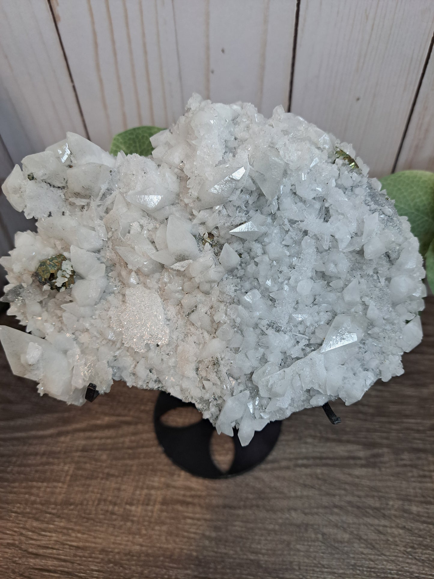 Chrysanthemum Quartz with Pyrite - Statement Cluster