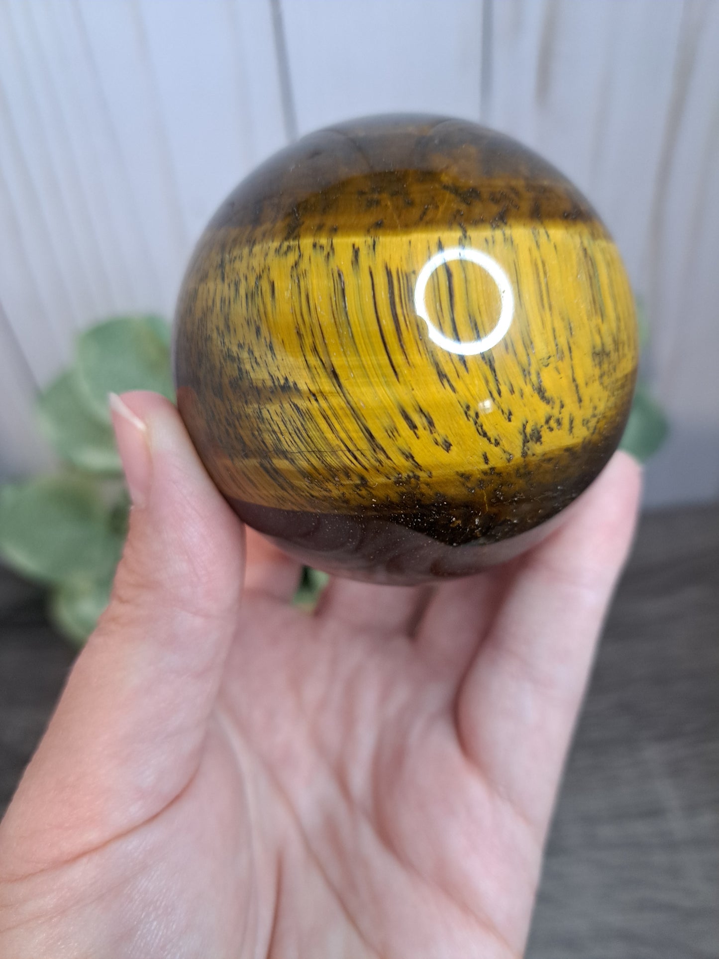 Tigers Eye Sphere