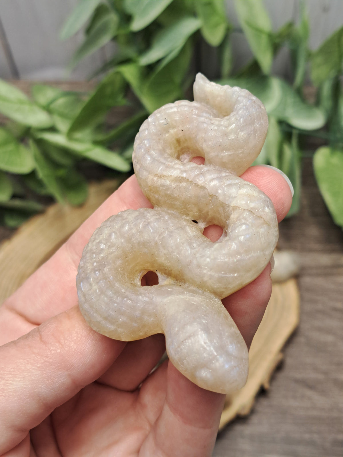 Snake Carvings - Moonstone