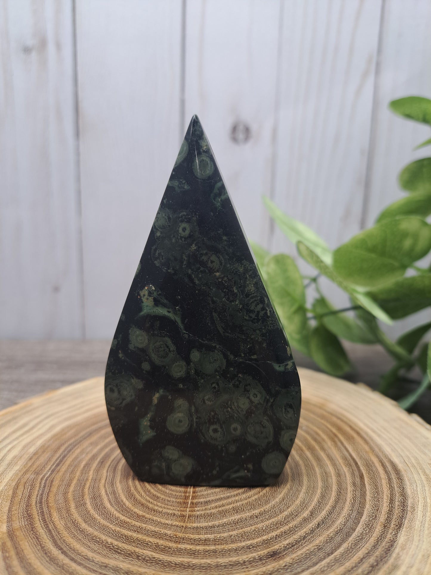 Kambaba Jasper Freeforms