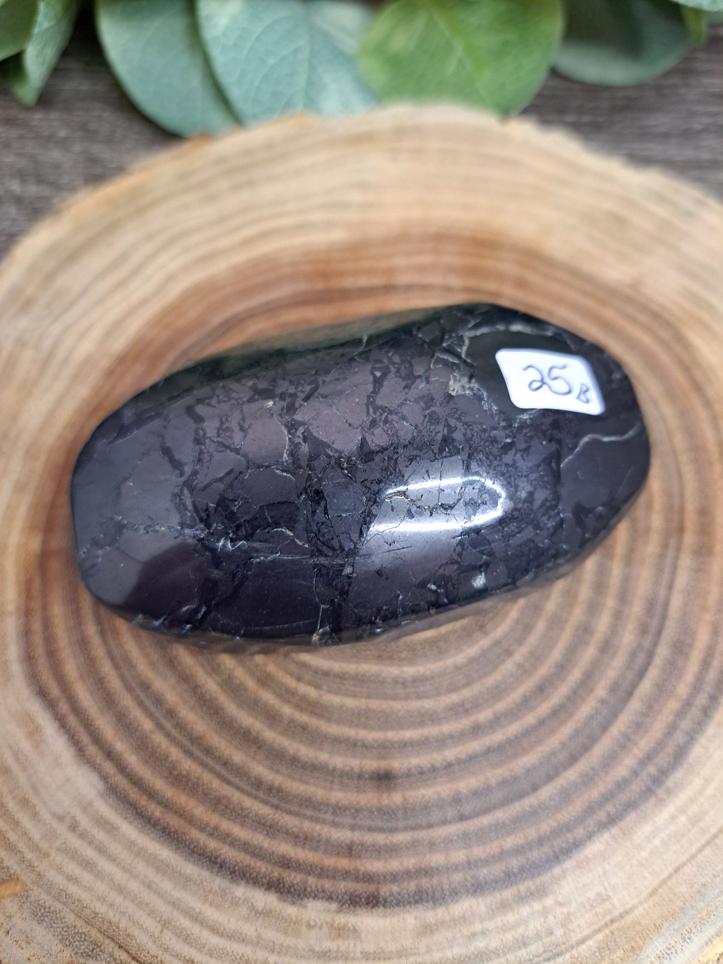 Shungite Palm Stones