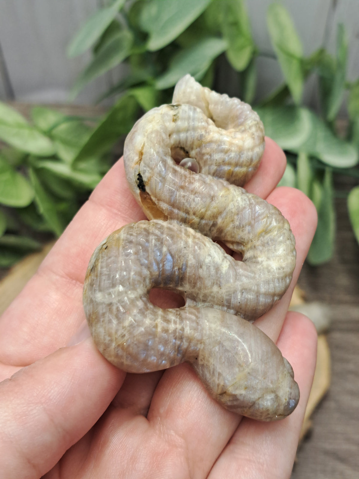 Snake Carvings - Moonstone