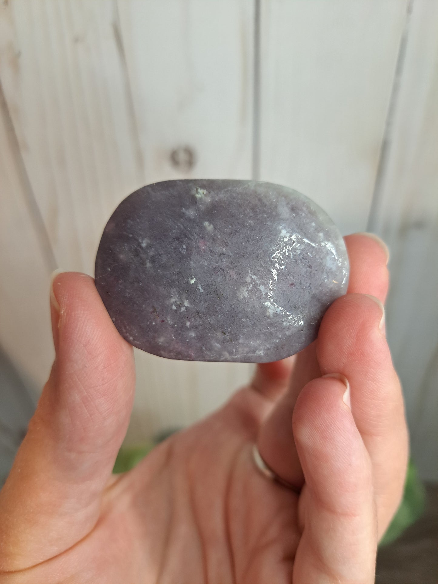 Unicorn Stone Palm Stone