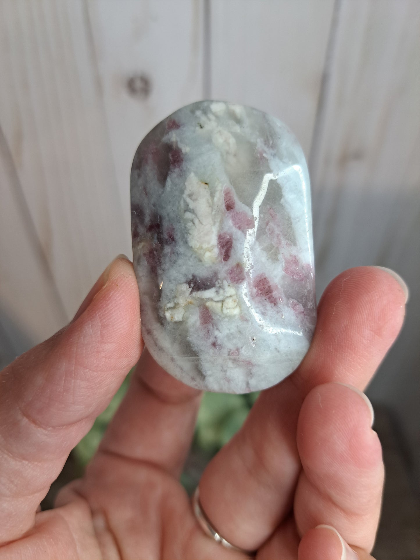 Unicorn Stone Palm Stone