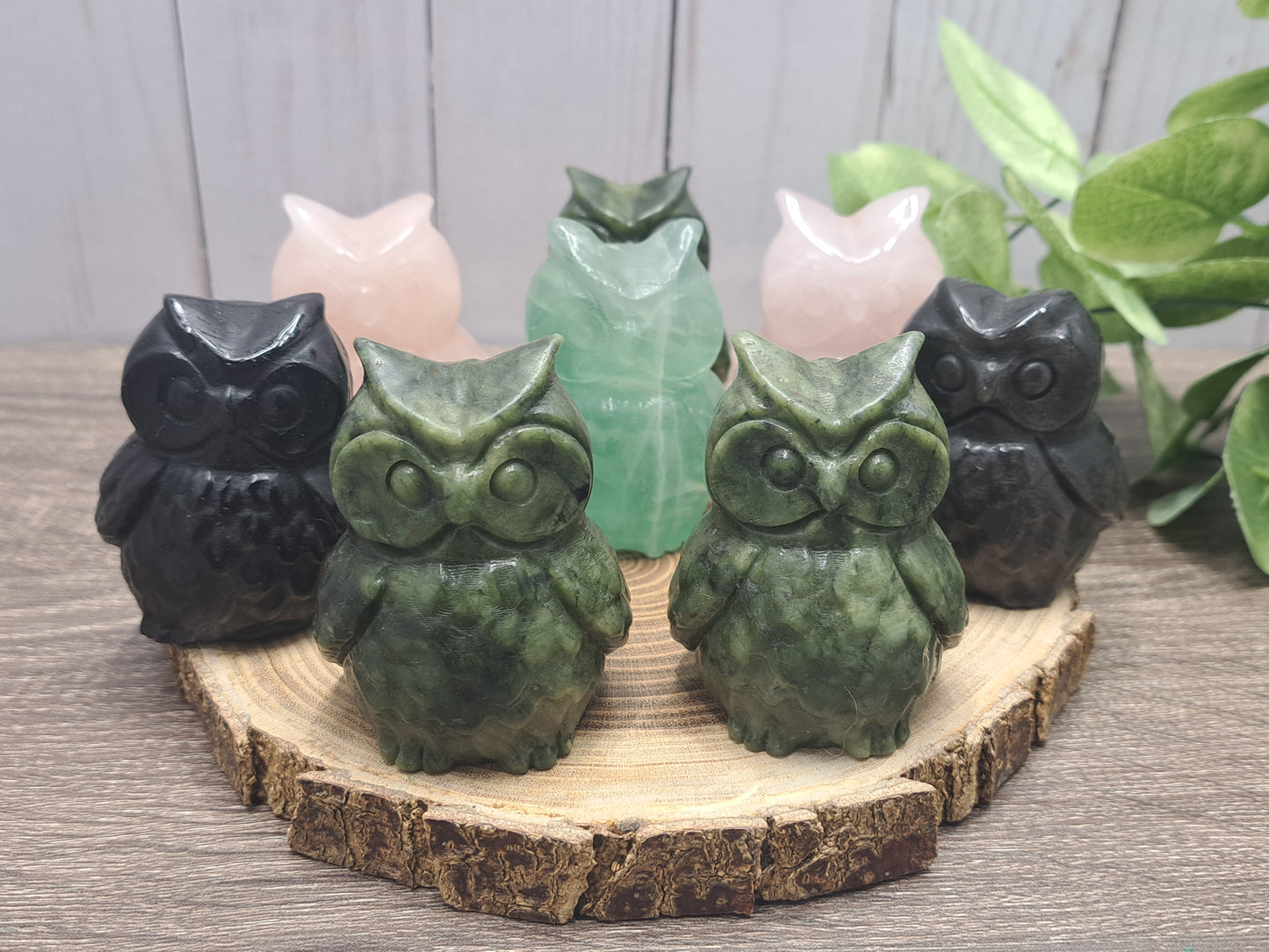 Owl Carvings - Medium