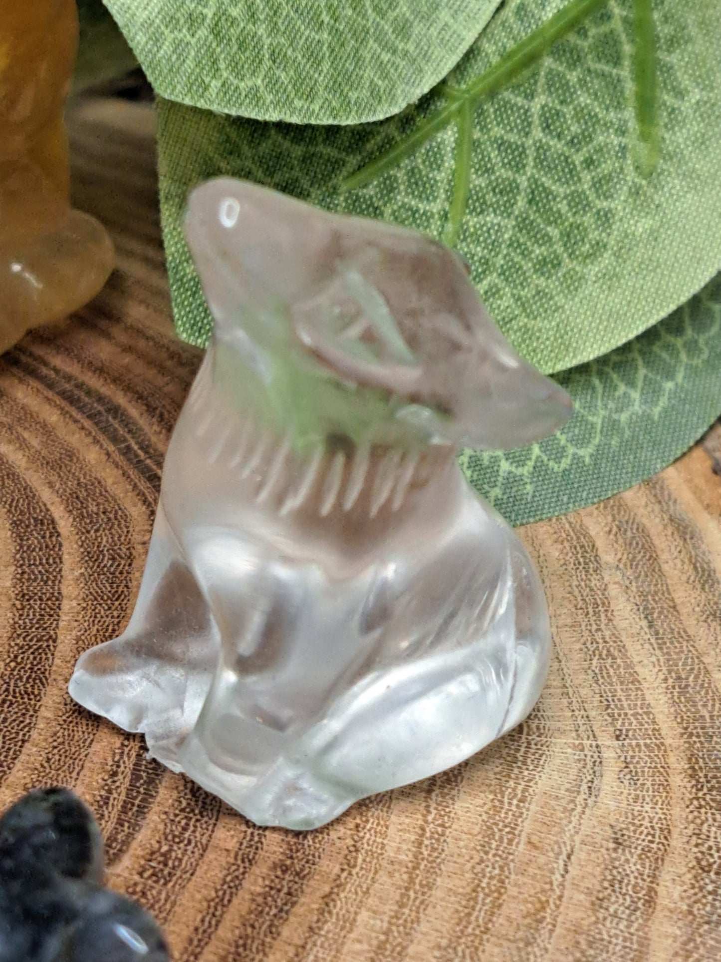 Misfit Animal Box