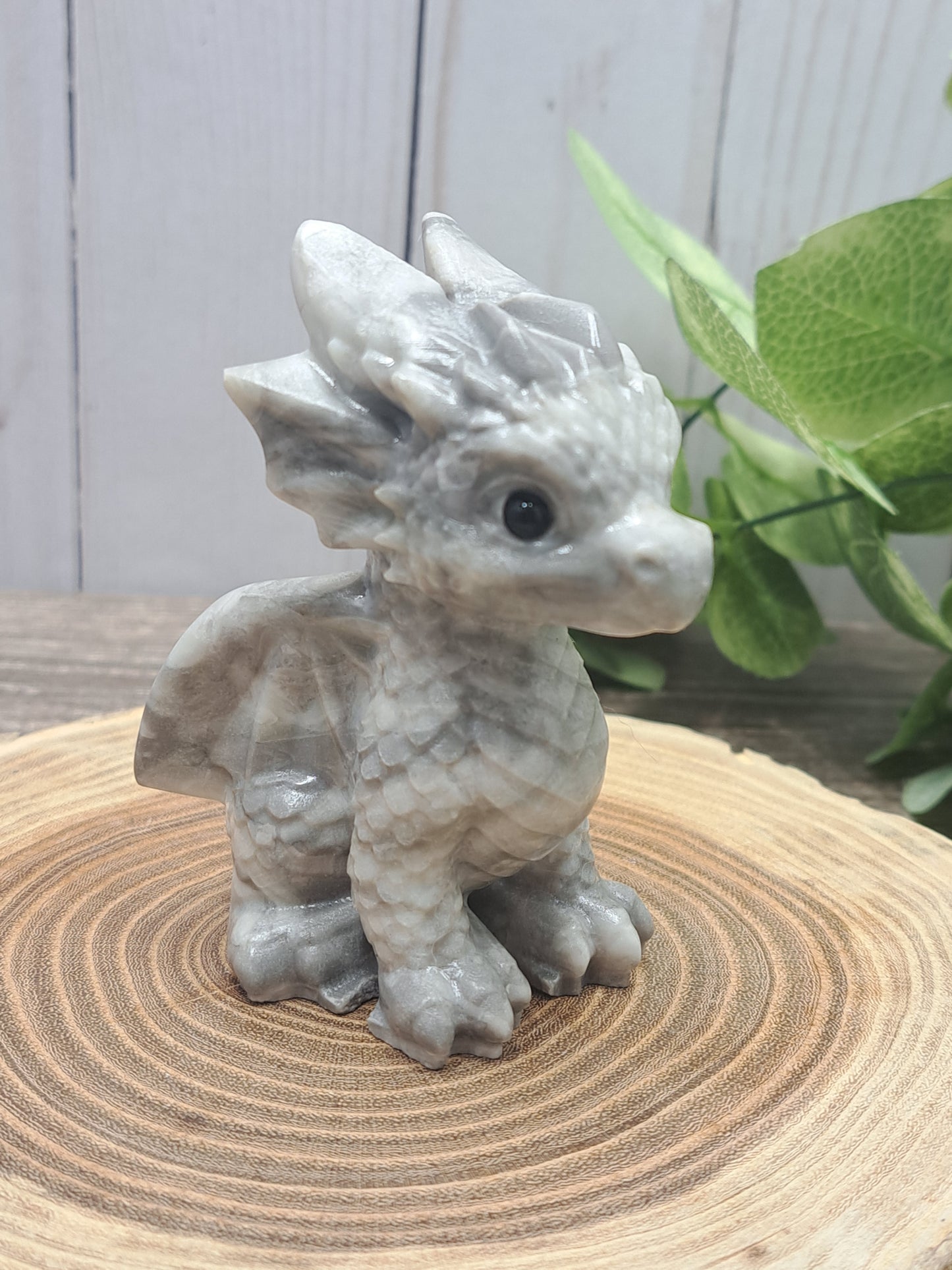 Baby Dragon - Large