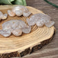 Flower Agate Turtles