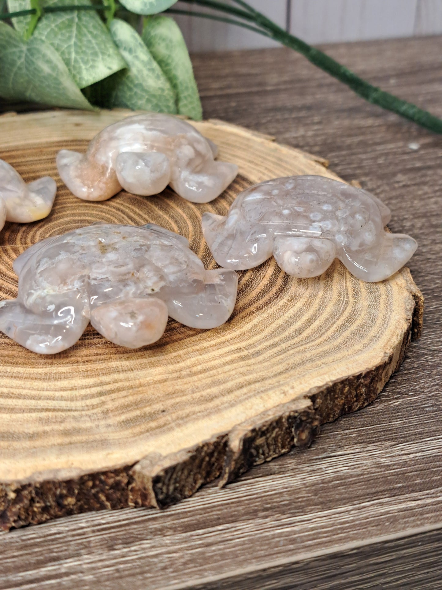 Flower Agate Turtles