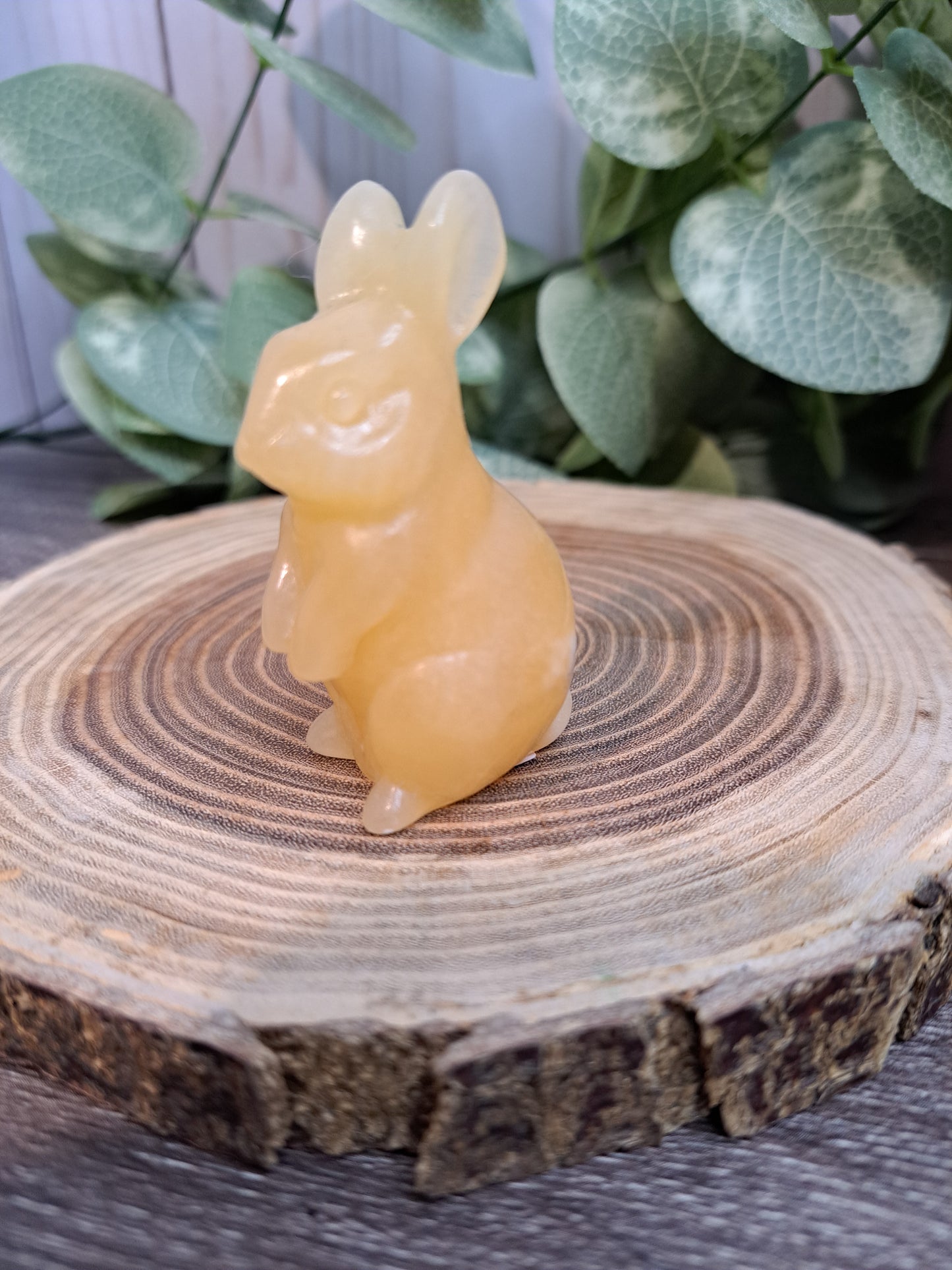 Rabbit Carvings