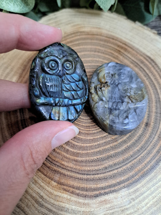 Owl Labradorite Carvings