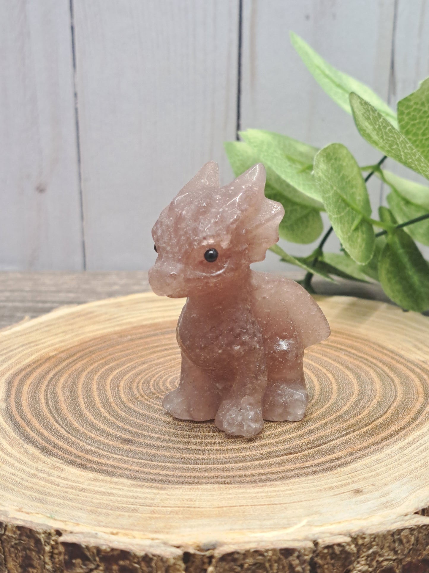 Baby Dragon - Small
