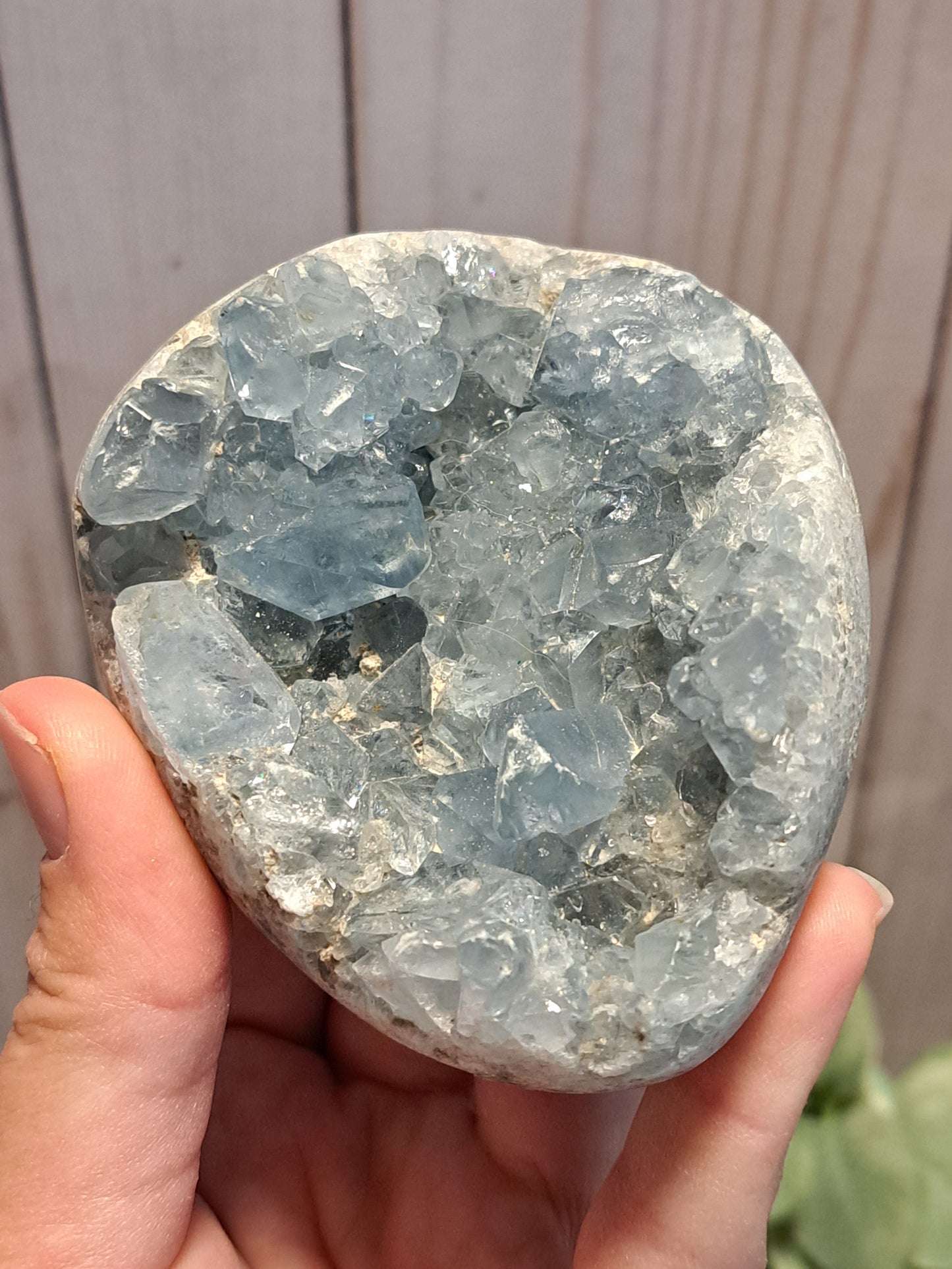 Celestite