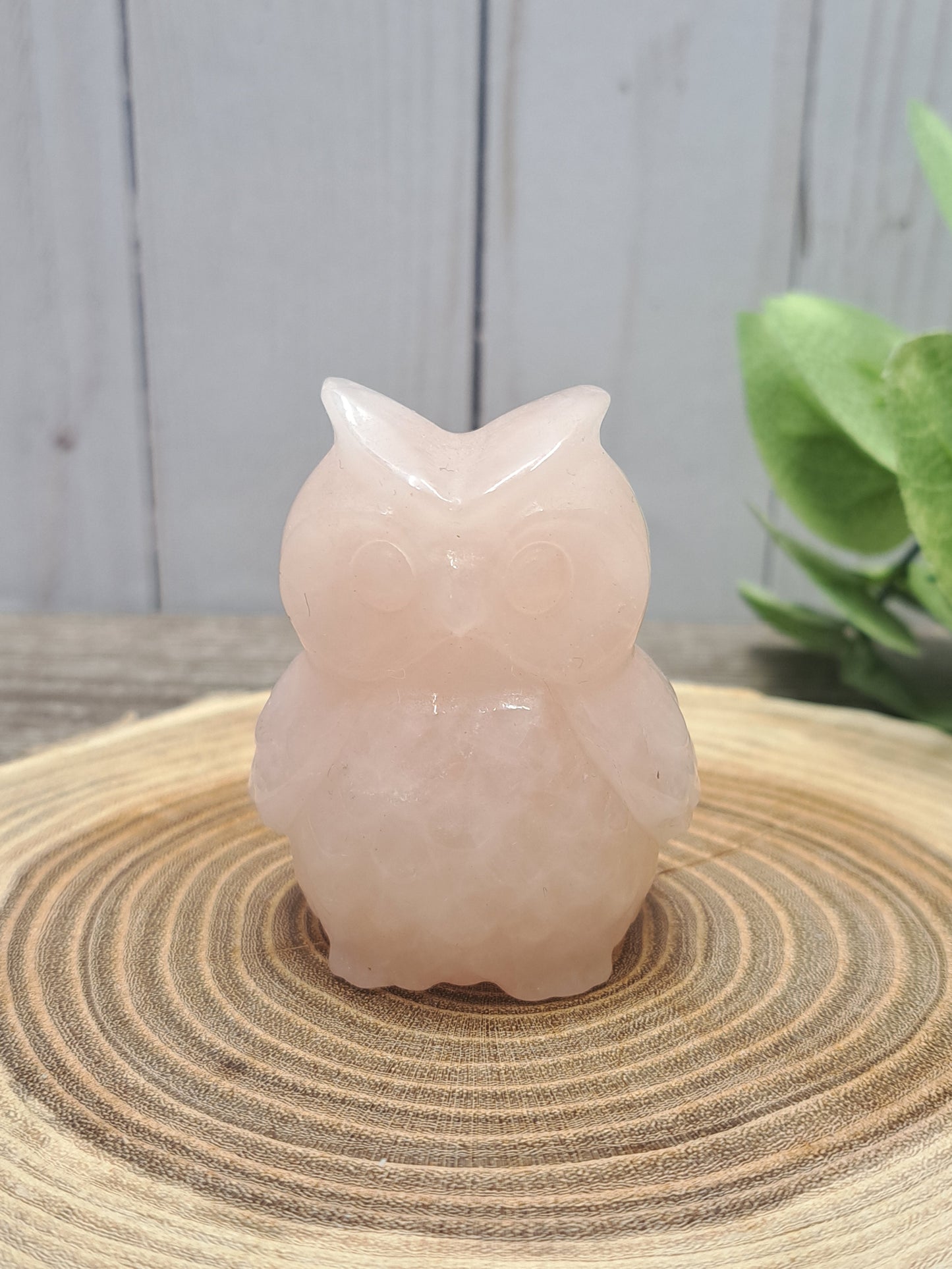 Owl Carvings - Medium