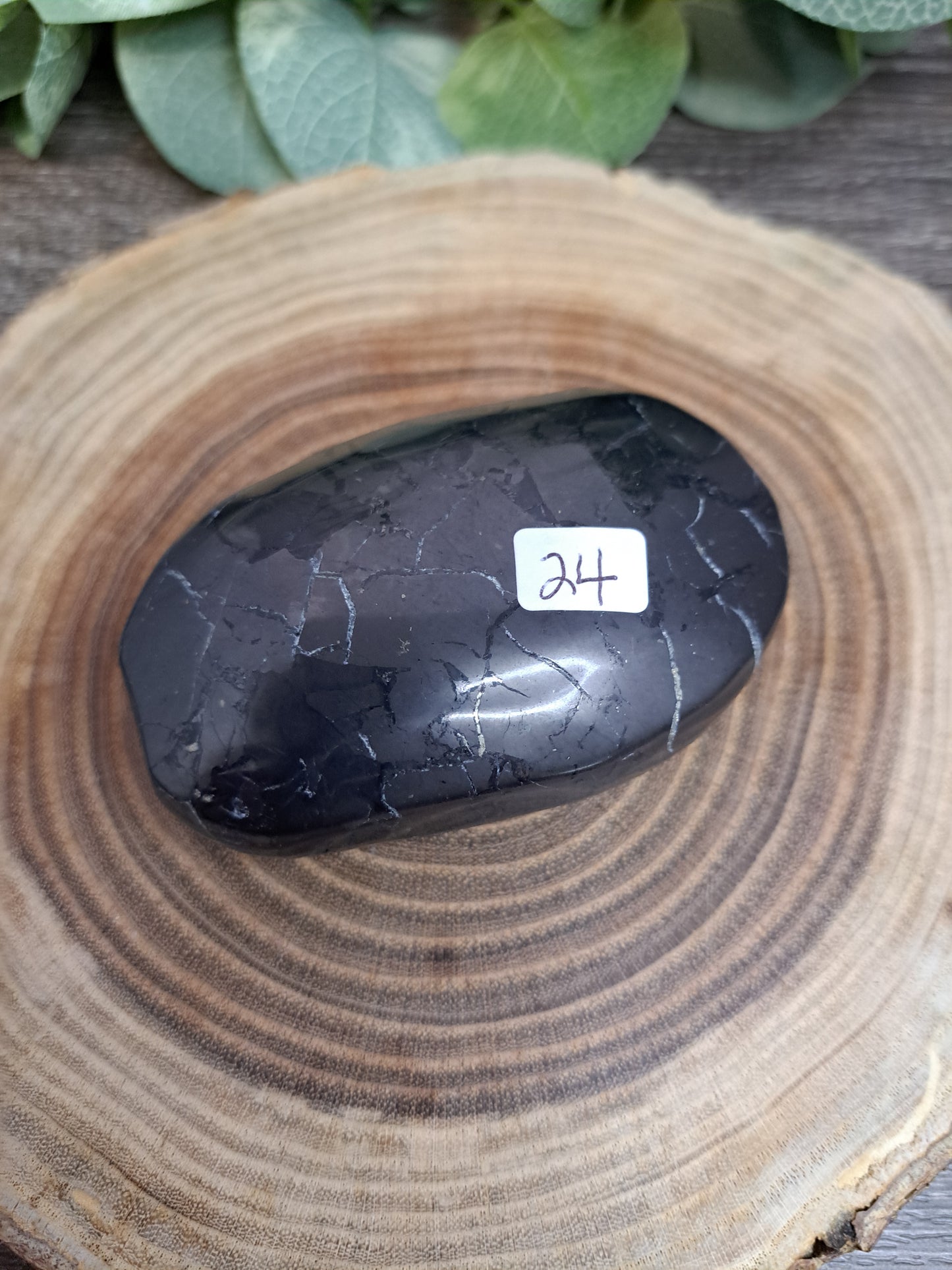 Shungite Palm Stones