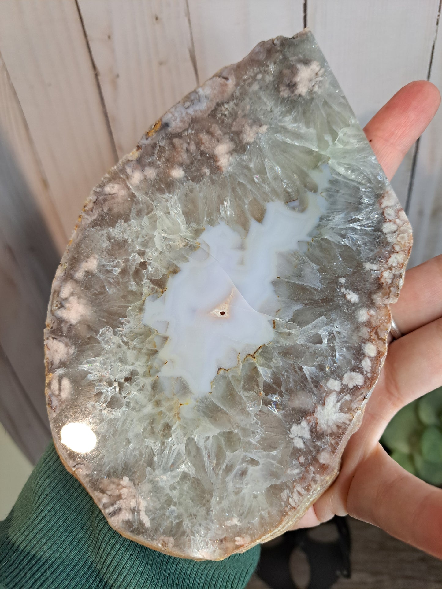 Druzy Slab - Presulite, Flower Agate