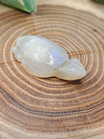Moonstone Turtle Carvings
