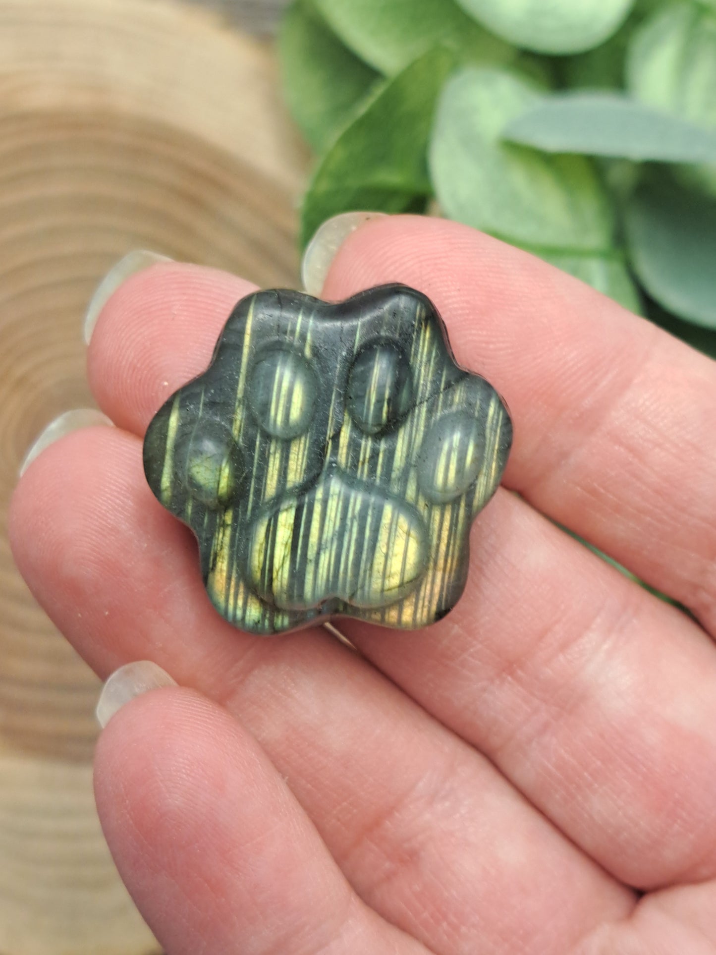 Labradorite Paw Prints