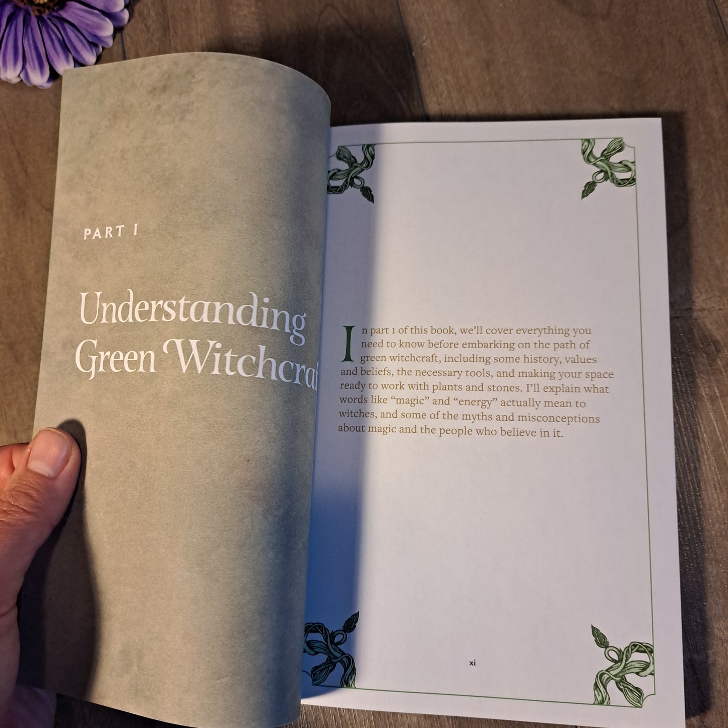 Green Witchcraft: A Practical Guide to Discovering the Magic of Plants, Herbs, Crystals & Beyond