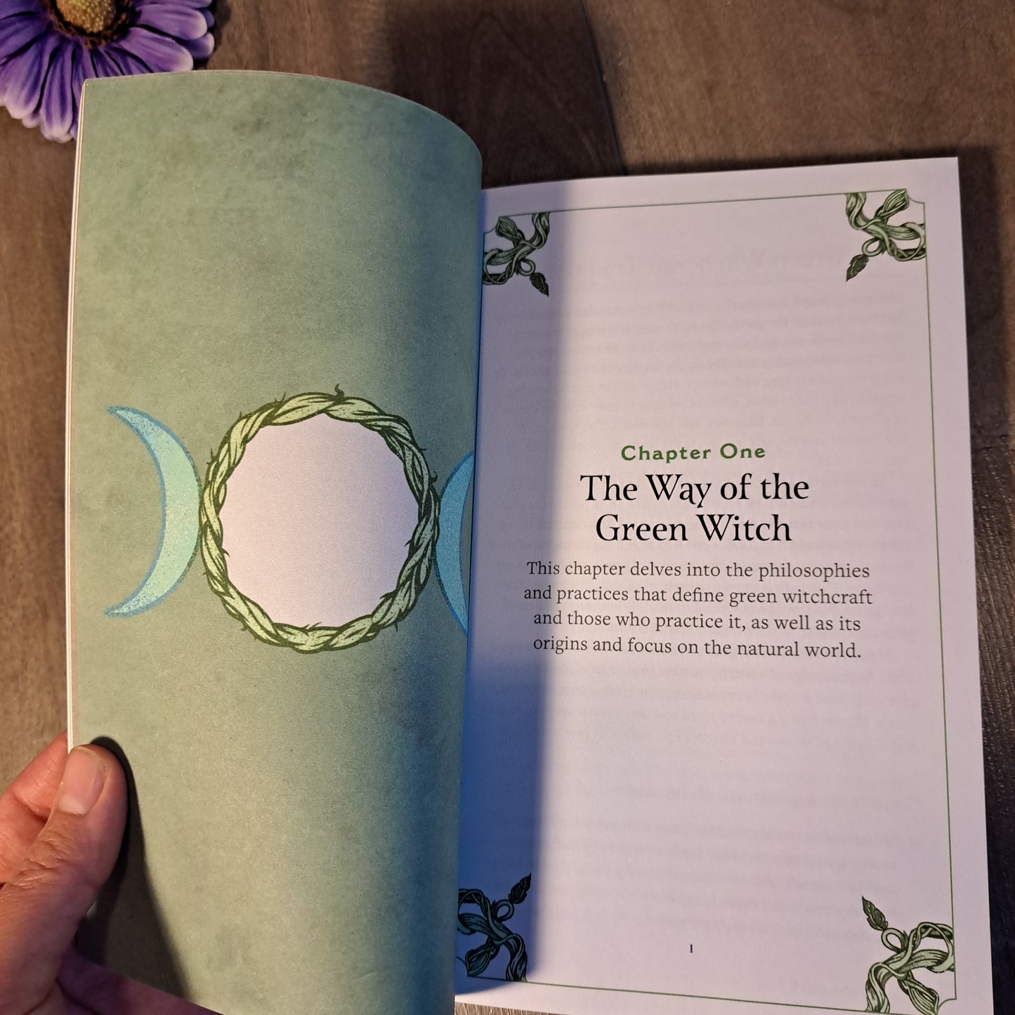 Green Witchcraft: A Practical Guide to Discovering the Magic of Plants, Herbs, Crystals & Beyond