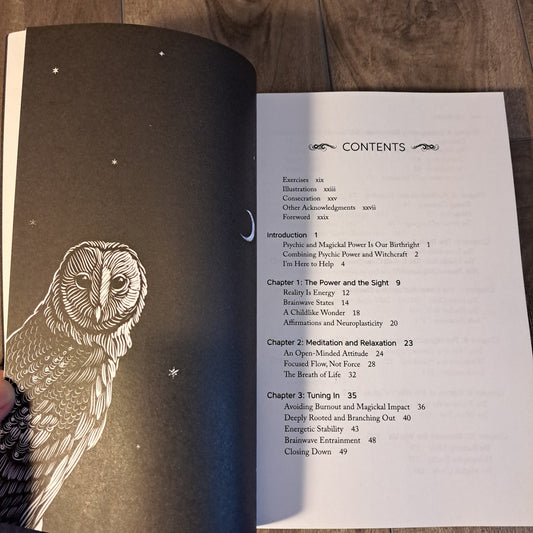 Psychic Witch: A Metaphysical Guide to Meditation, Magick & Manifestation