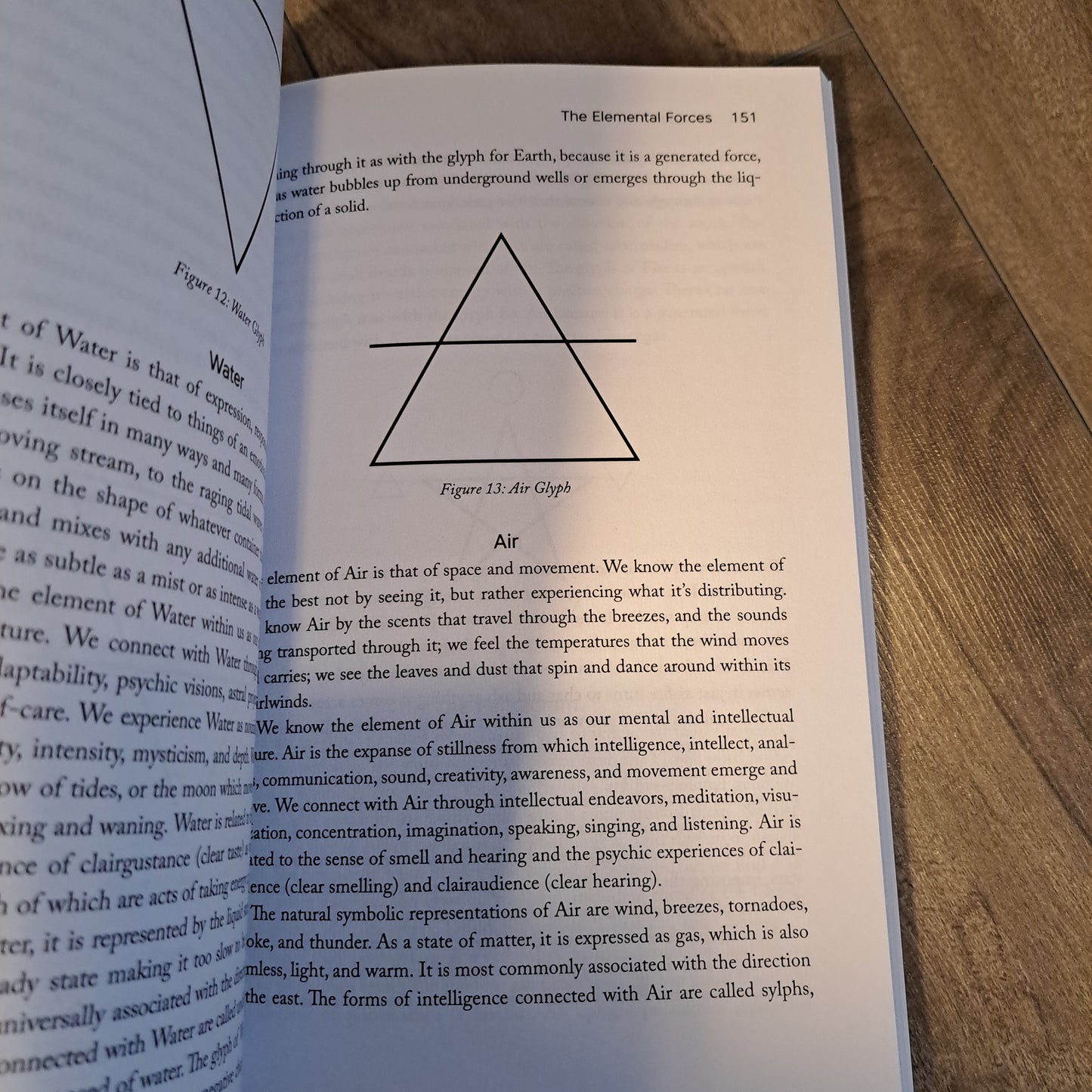 Psychic Witch: A Metaphysical Guide to Meditation, Magick & Manifestation