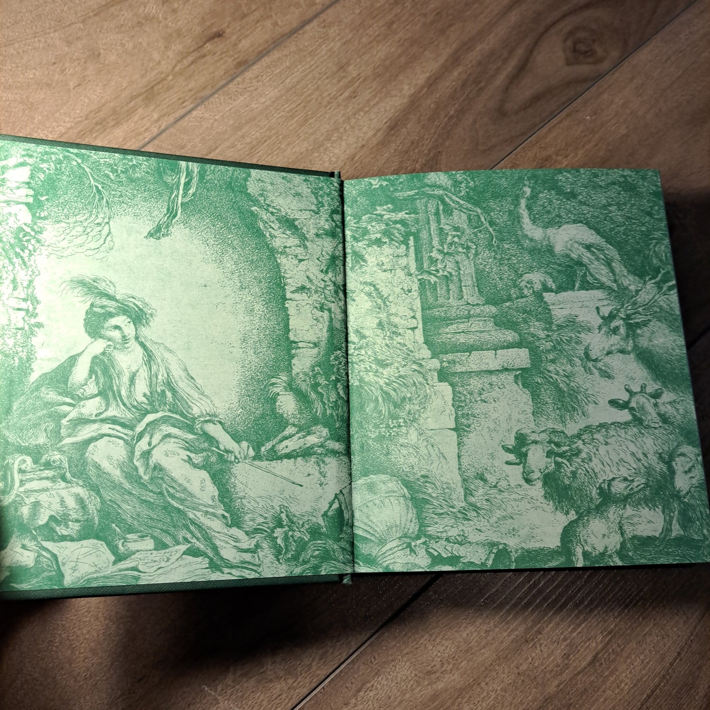 Witch's Way: A Guide to Modern-Day Spellcraft, Nature Magick & Divination (vol 5)