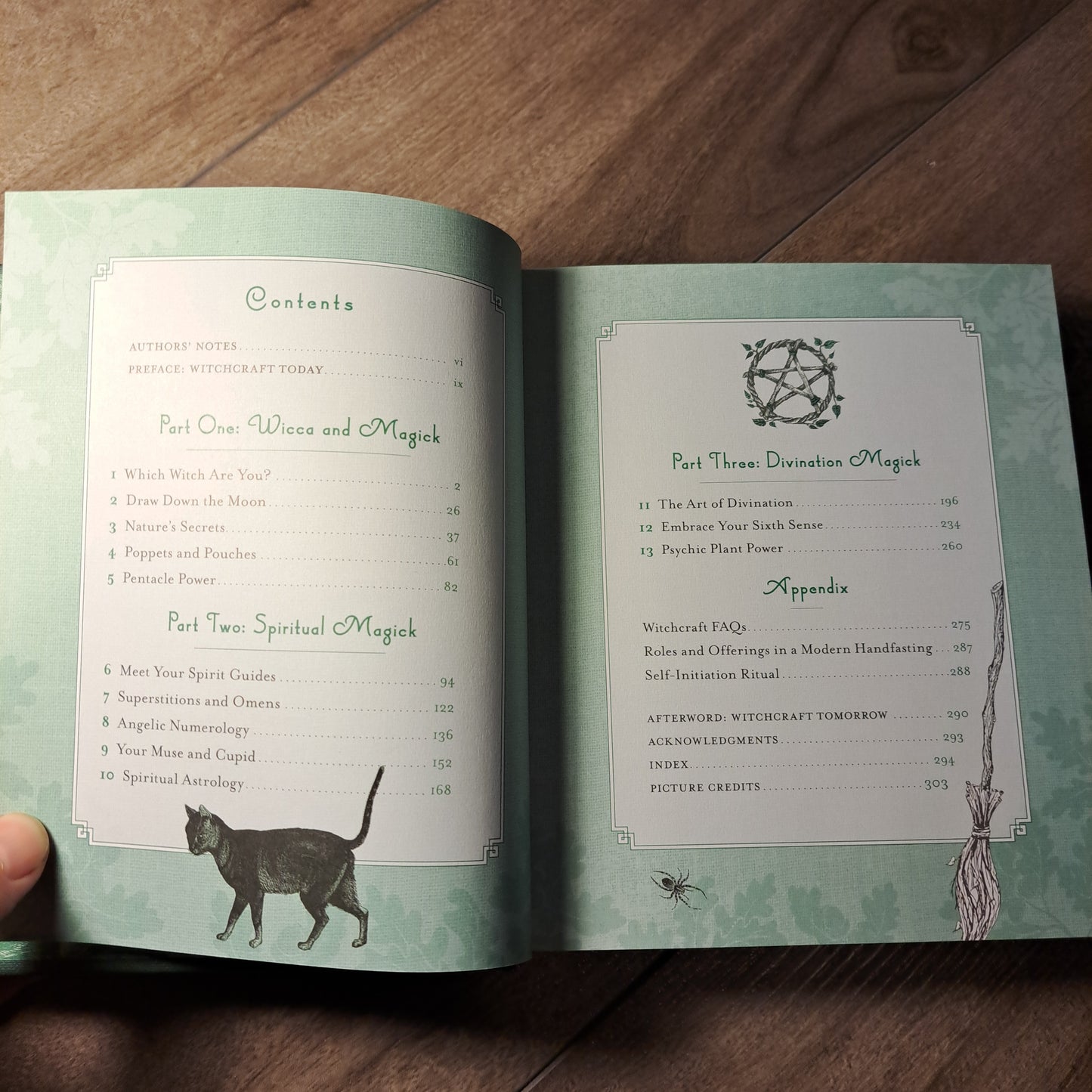 Witch's Way: A Guide to Modern-Day Spellcraft, Nature Magick & Divination (vol 5)
