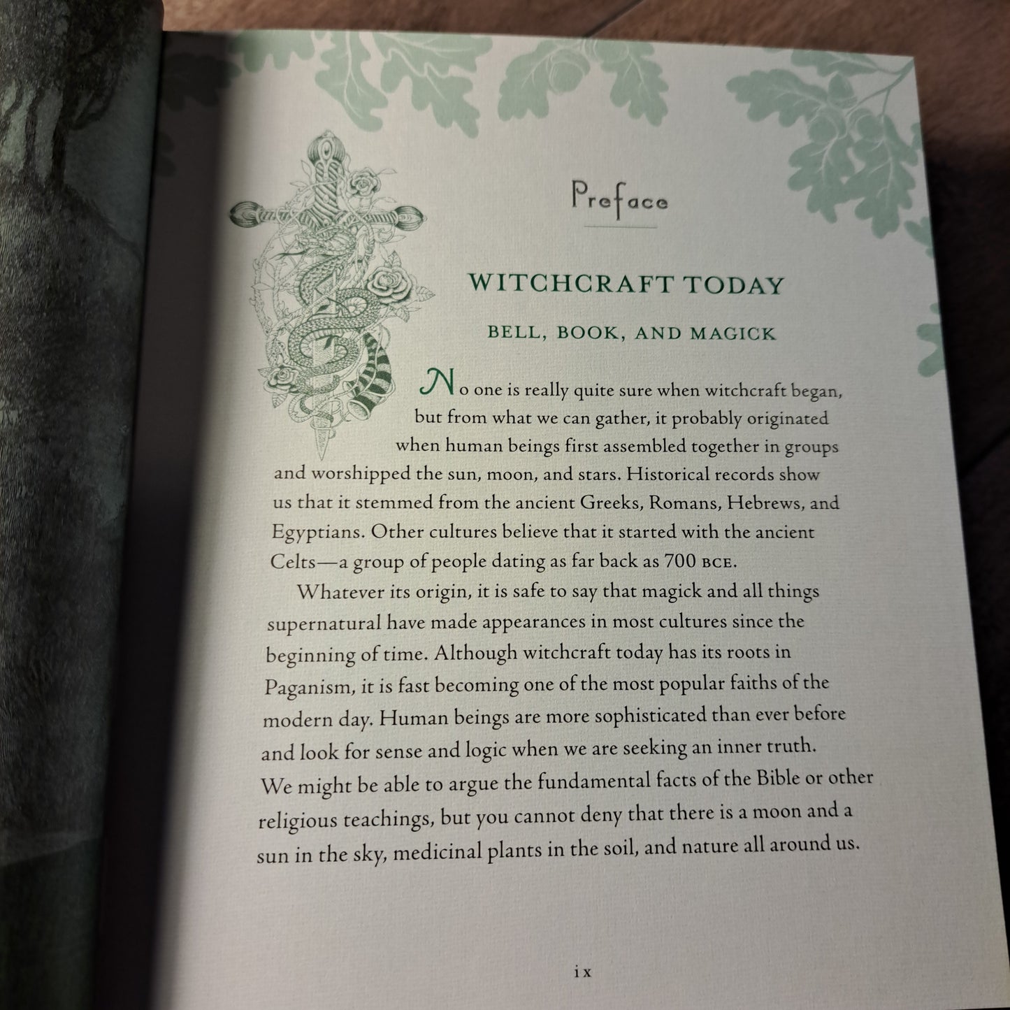 Witch's Way: A Guide to Modern-Day Spellcraft, Nature Magick & Divination (vol 5)
