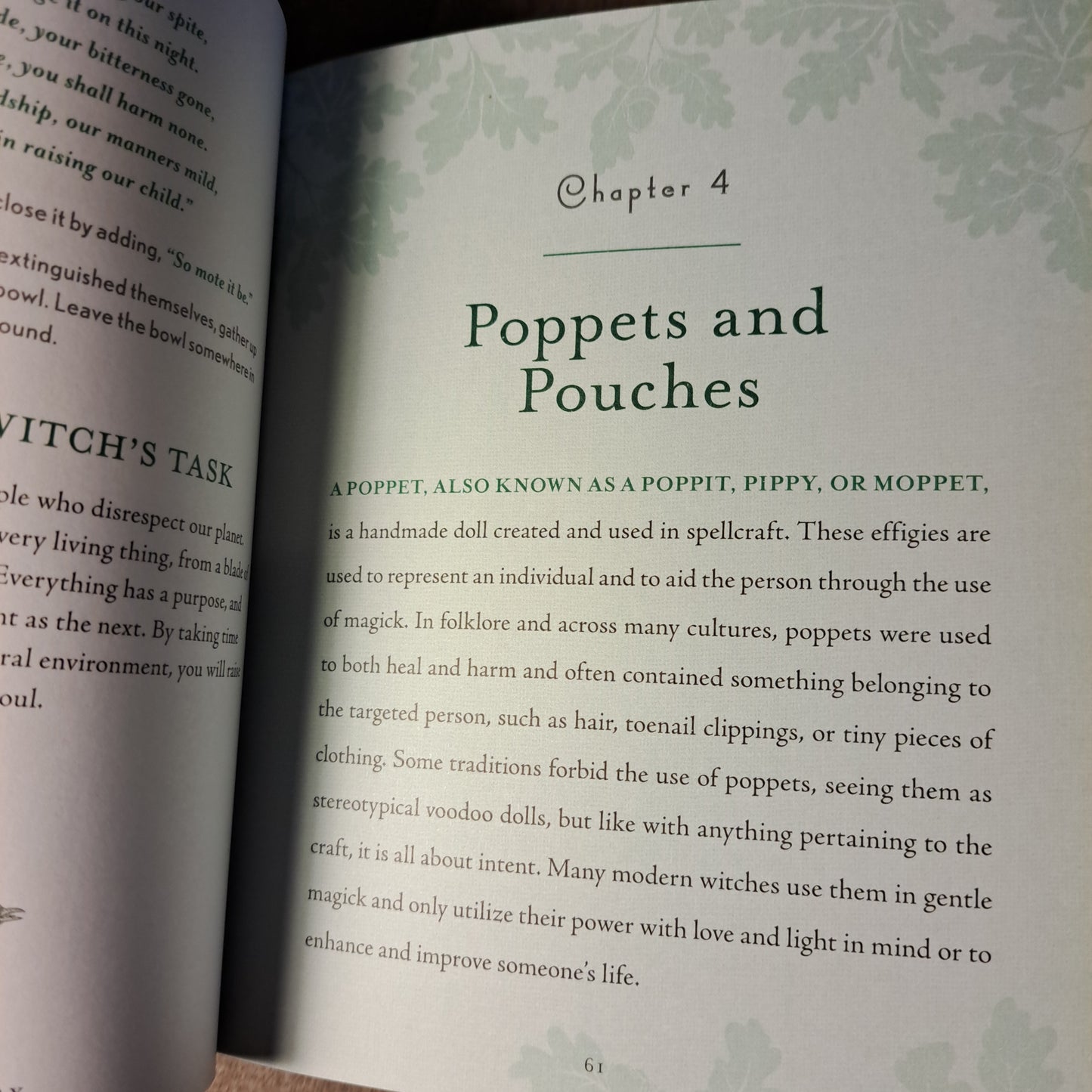 Witch's Way: A Guide to Modern-Day Spellcraft, Nature Magick & Divination (vol 5)