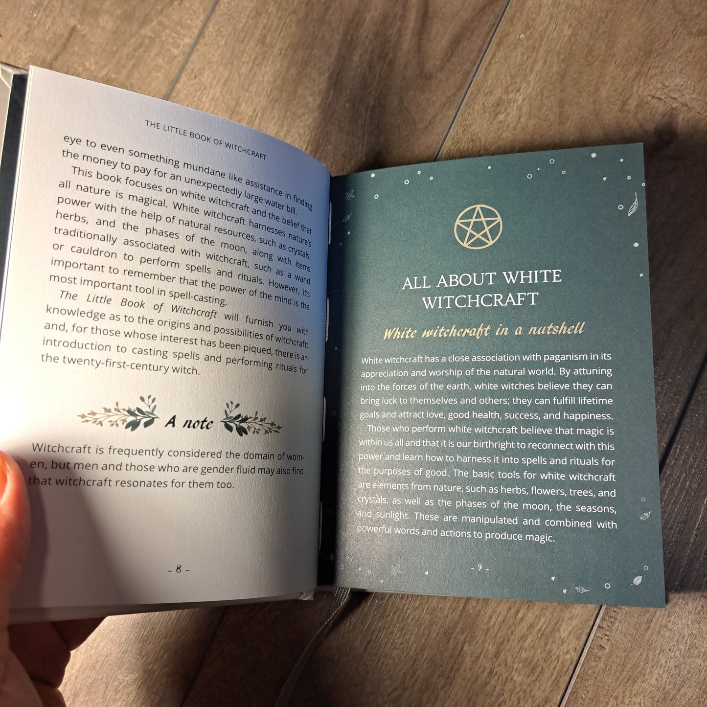 The Little Book of Witchcraft