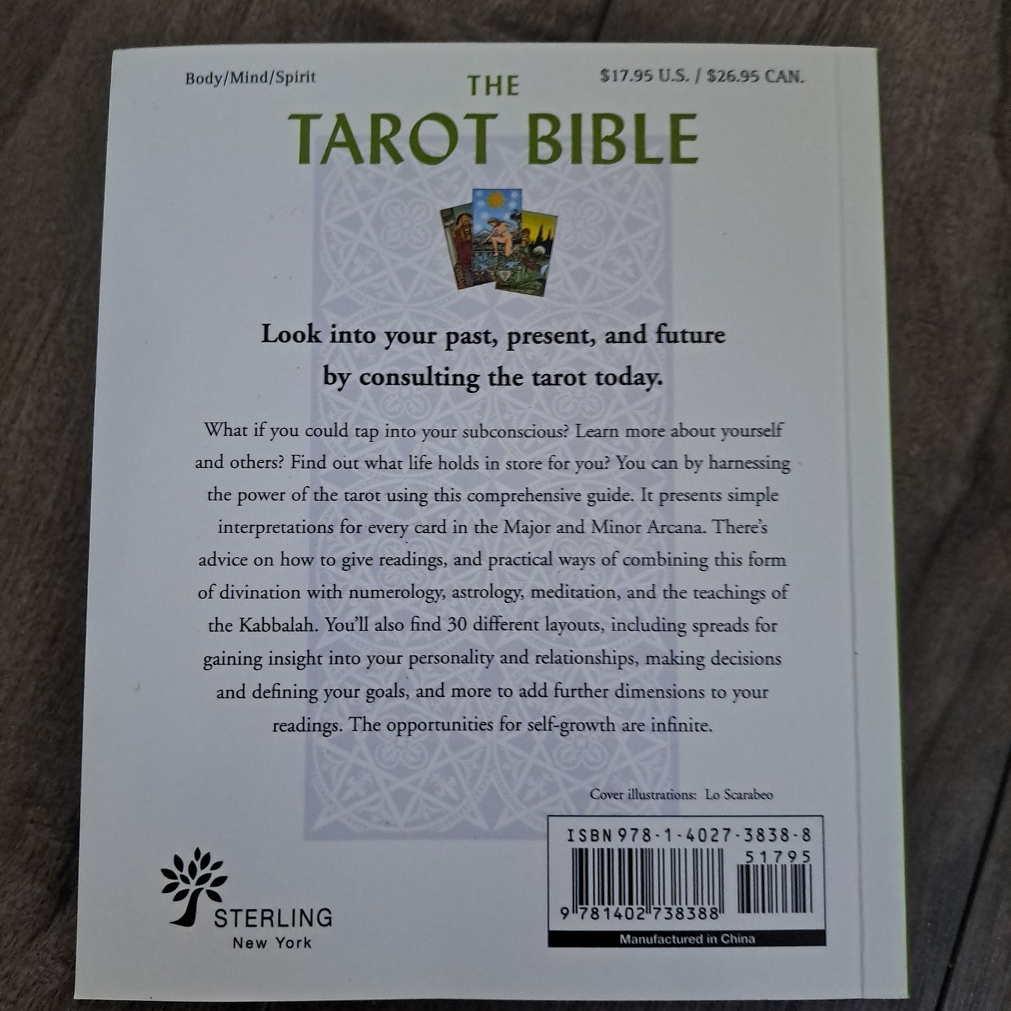 The Tarot Bible: The Definitive Guide to the Cards and Spreads (Volume 7)