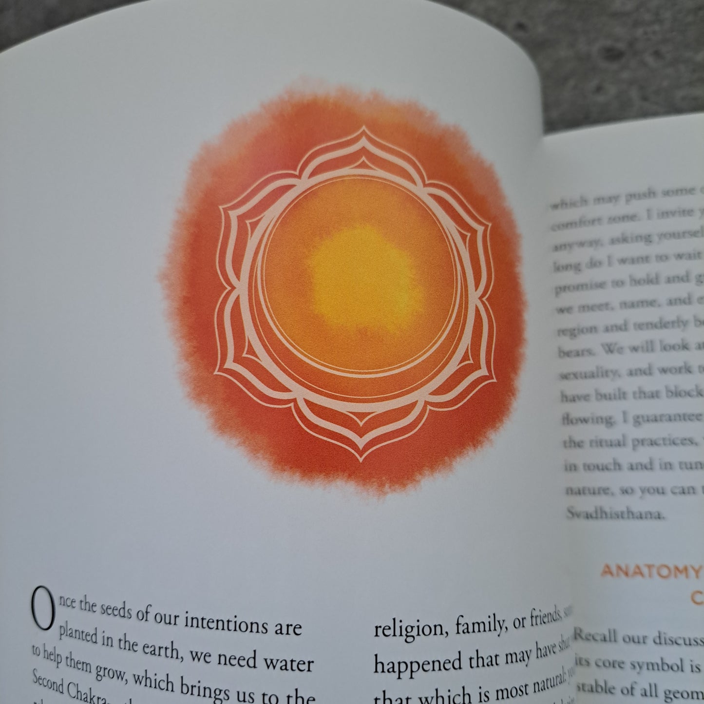 Chakra Rituals: Awakening the Wild Woman Within