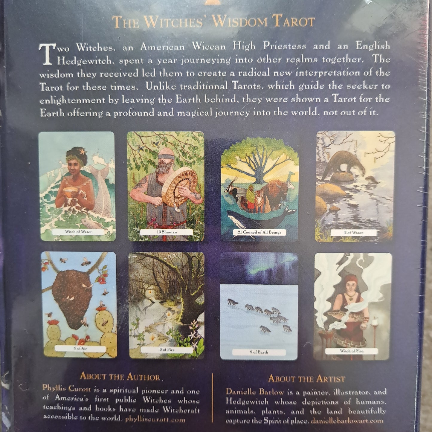 The Witches' Wisdom Tarot