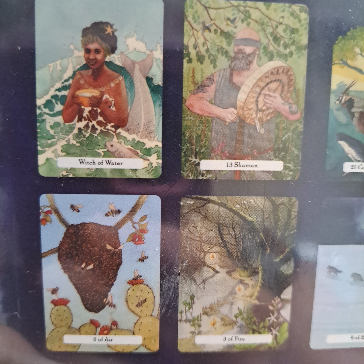 The Witches' Wisdom Tarot