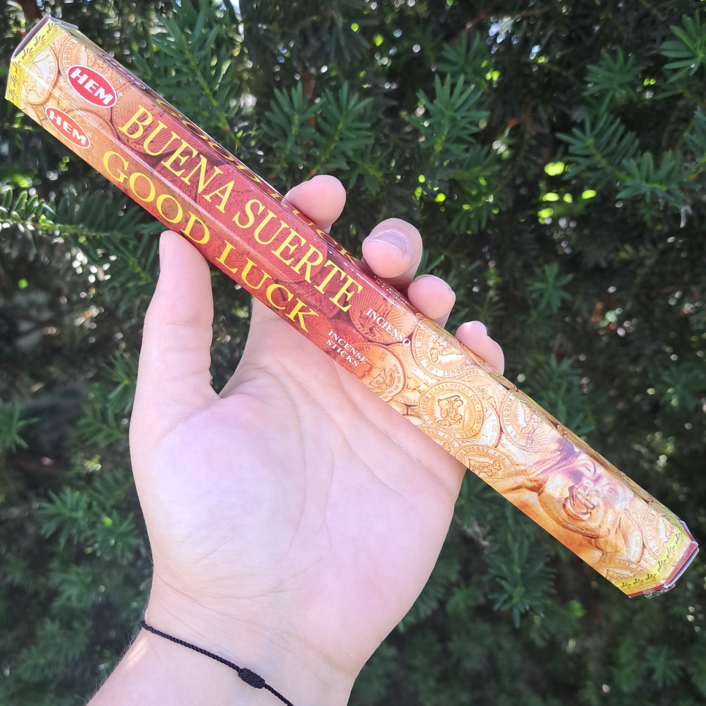 Good Luck Incense Sticks pk 20