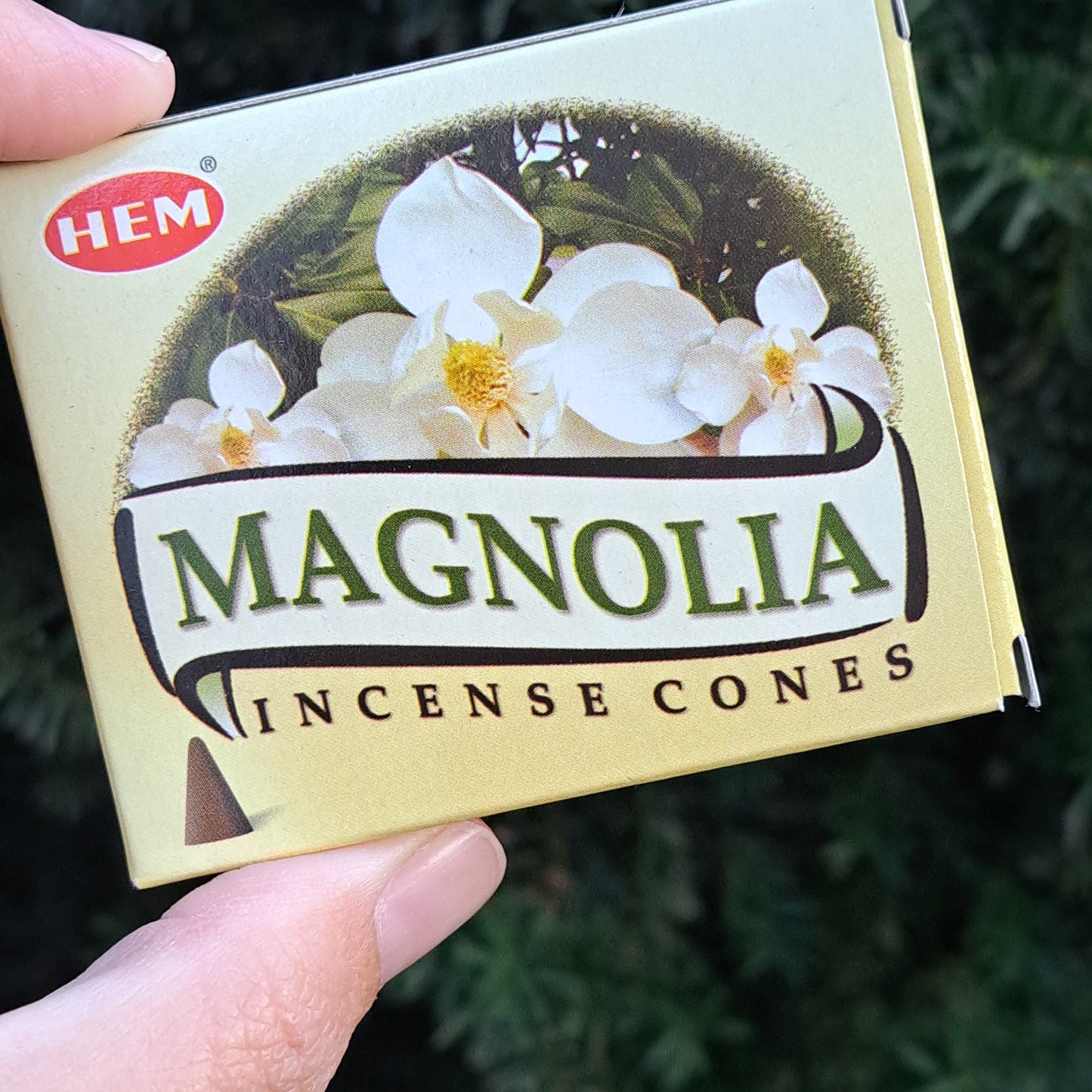 Magnolia Incense Cones pk 10