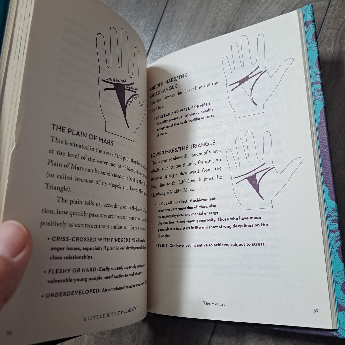 A Little Bit of Palmistry: An Introduction to Palm Reading (Little Bit Series)