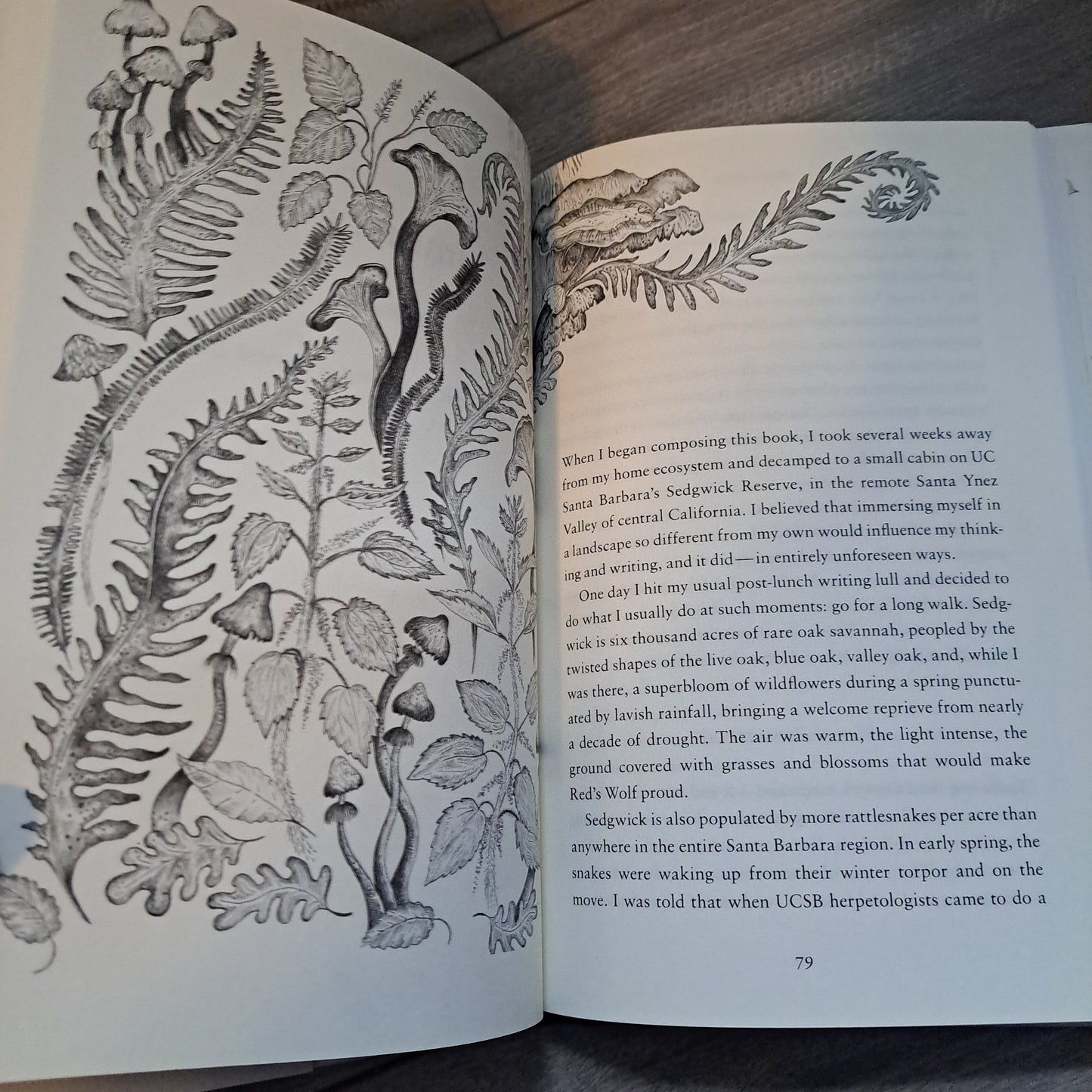 Rooted: Life at the Crossroads of Science, Nature, and Spirit