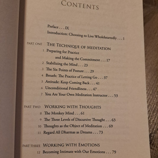 How to Meditate: A Practical Guide to Making Friends with Your Mind- paperback