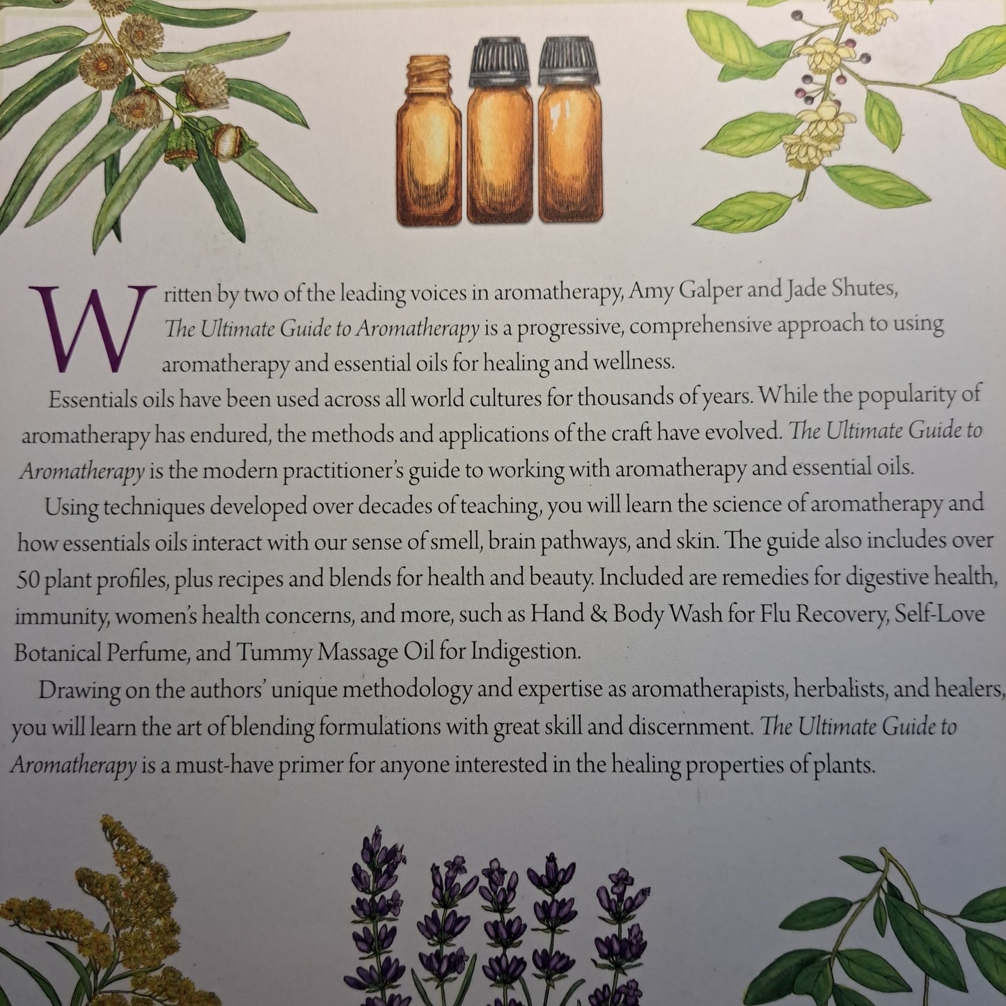 The Ultimate Guide to Aromatherapy