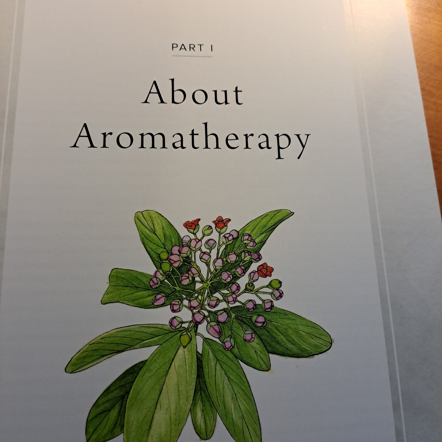 The Ultimate Guide to Aromatherapy