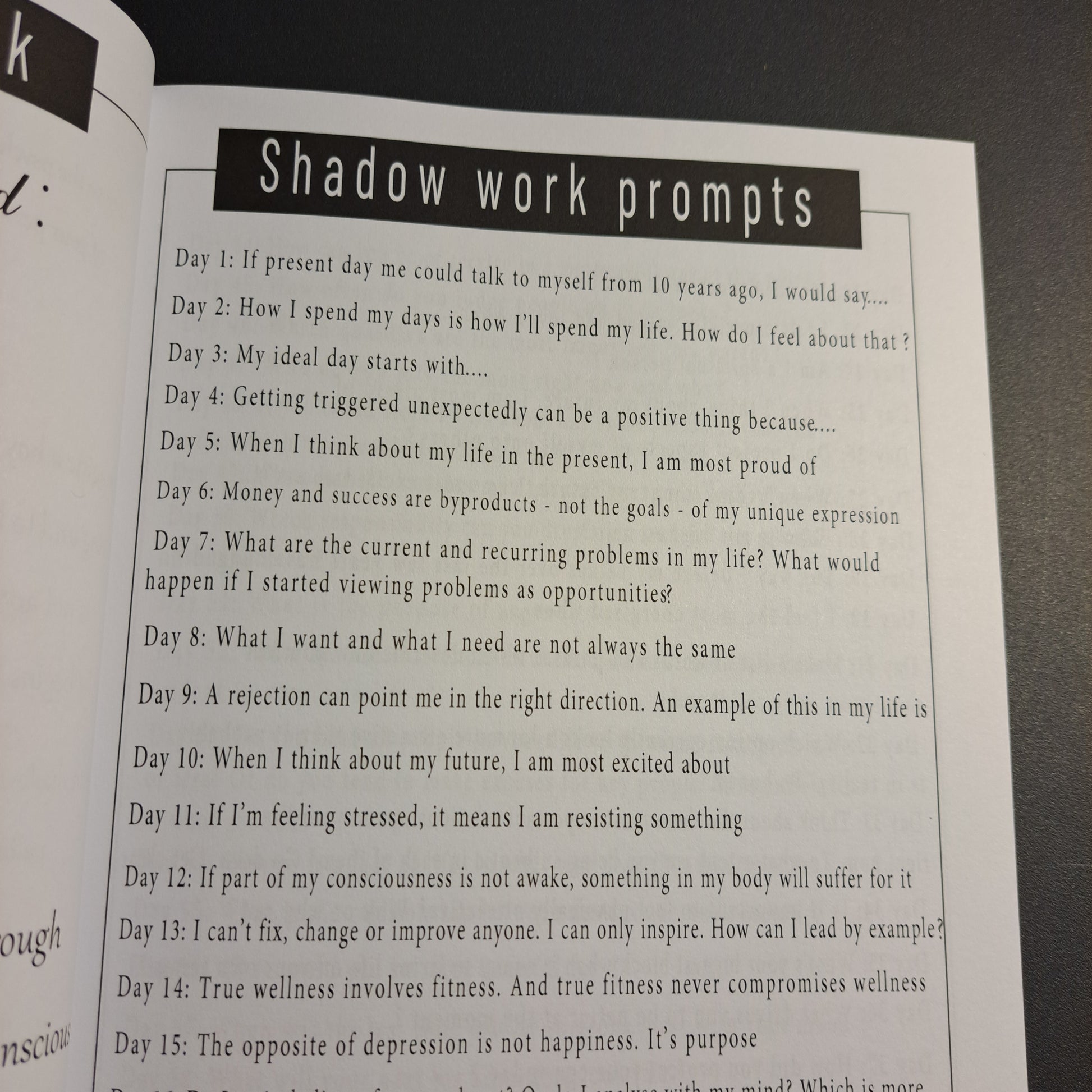 Shadow Work Journal: More than 90 Daily Prompts Shadow Workbook to Lov –  mysticmaevesmoonmagick