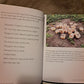 The Nordic Book of Runes