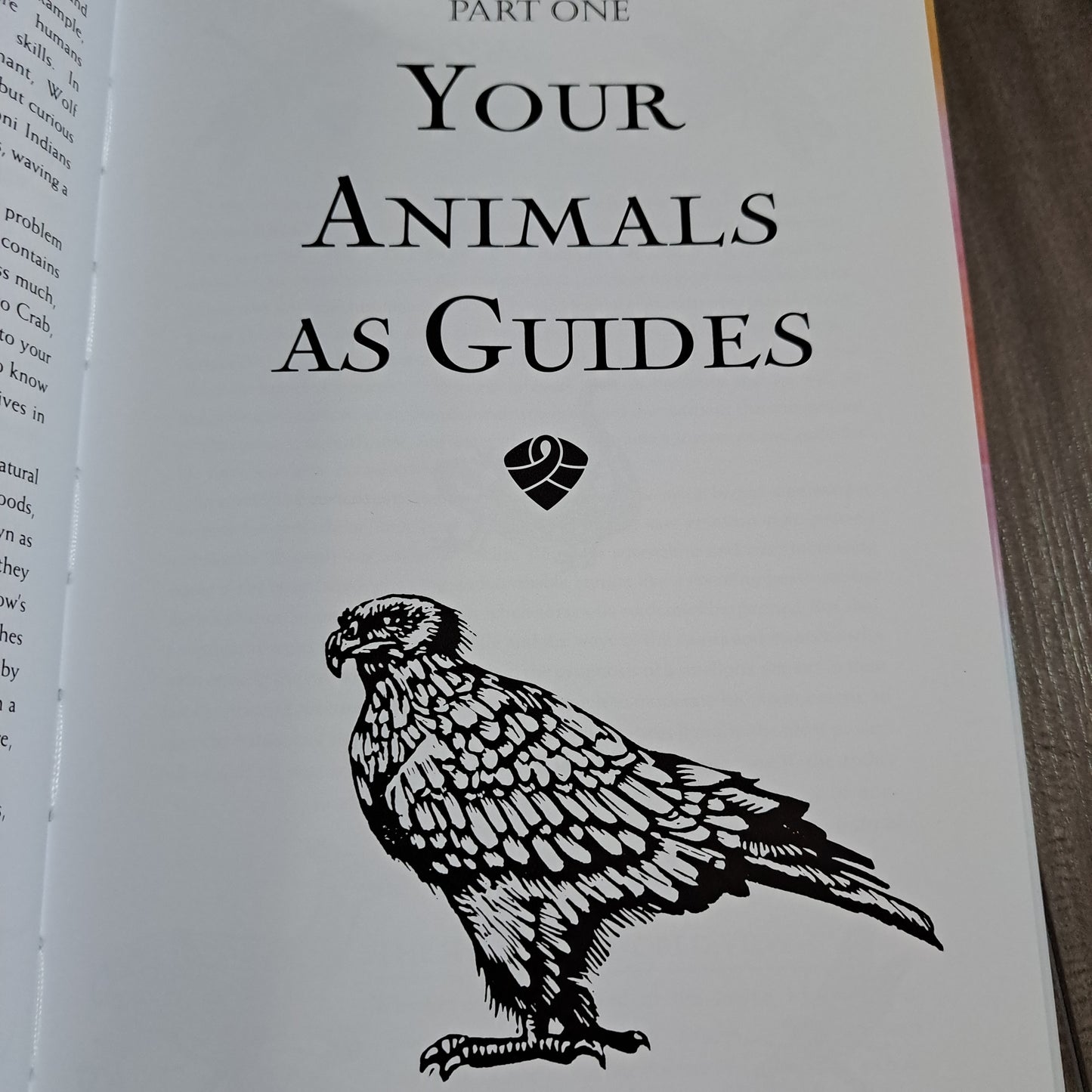 Teachings from Our Animal Spirit Guides: Harness the Power of Animals to Liberate Your Spirit