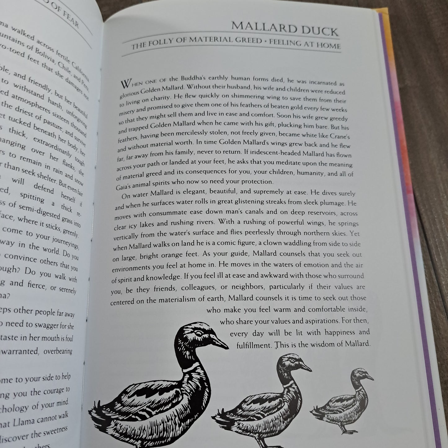 Teachings from Our Animal Spirit Guides: Harness the Power of Animals to Liberate Your Spirit