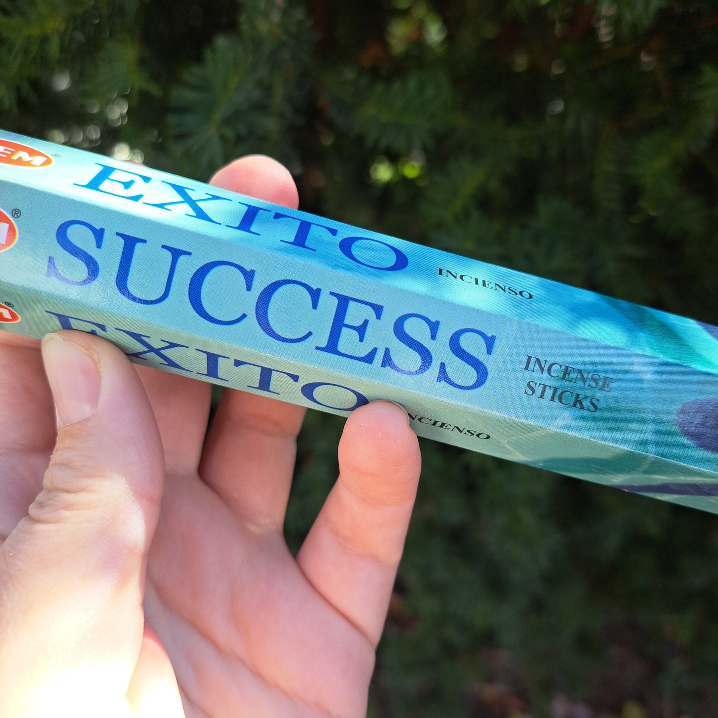 Success Incense Sticks pk 20